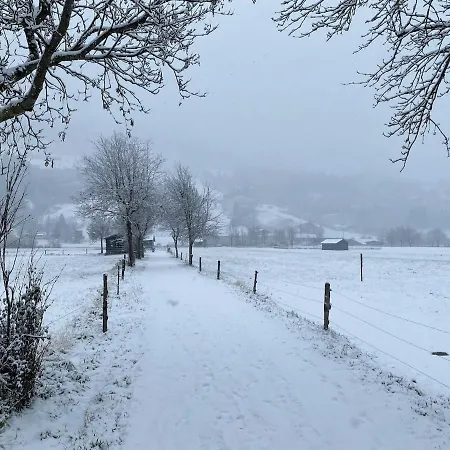Apartment Ferienwohnung Central Bad Hofgastein Bad Hofgastein